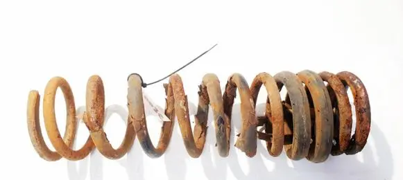 Ford Focus Rear coil spring