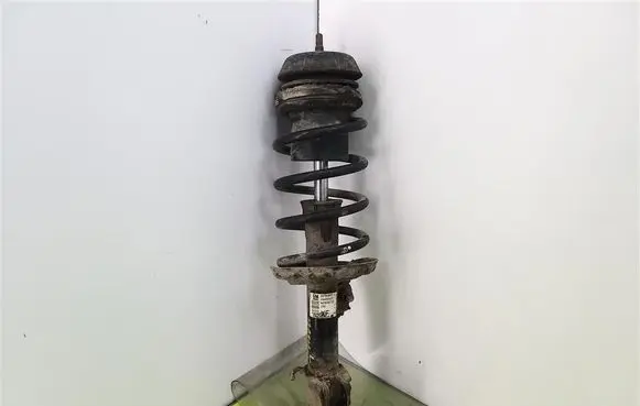 Opel Meriva B Front shock absorber with coil spring 22194807