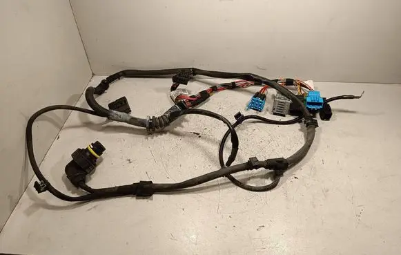 BMW X5 E70 Other wiring loom 738051011 738051011B