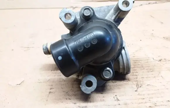 Thermostat/thermostat housing