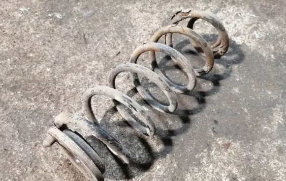 Volkswagen Golf V Rear coil spring
