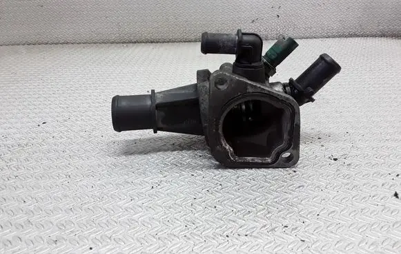 Thermostat/thermostat housing