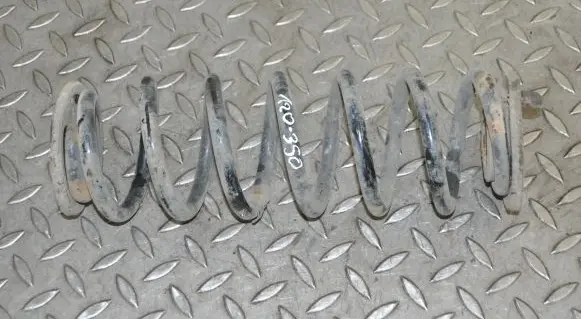 Volkswagen PASSAT B7 Rear coil spring