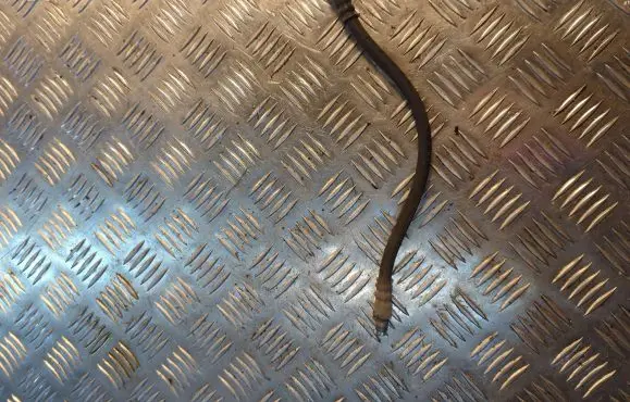 Mercedes-Benz C W203 Brake booster pipe/hose 
