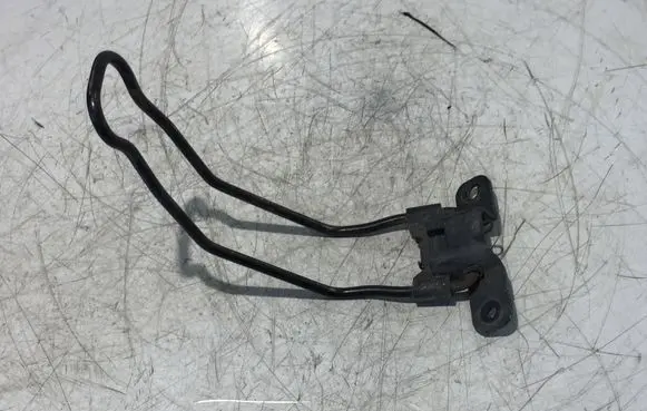 Citroen Jumpy Rear door check strap stopper 149803700R