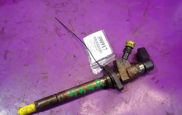 Peugeot 307 CC Fuel injector 