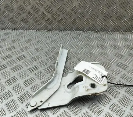 Volkswagen Touareg II Engine bonnet/hood hinges 7P6823301