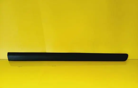 Rear door trim (molding)