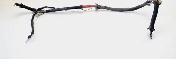 Citroen Jumper Wires (starter motor) 1341751080