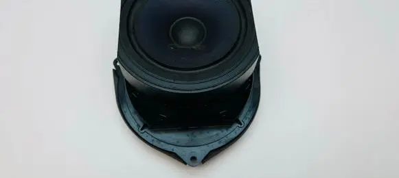 Volkswagen Phaeton Front door speaker 3D0035453