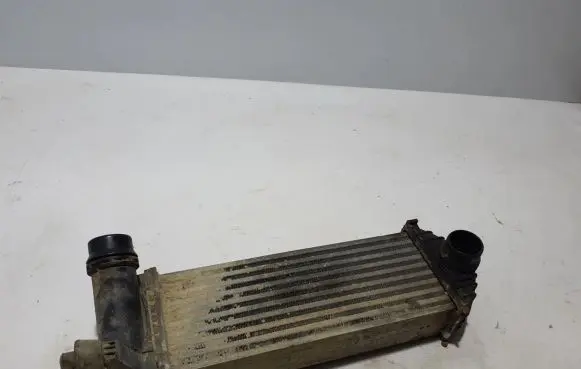 Renault Kangoo II Intercooler radiator 144963234R