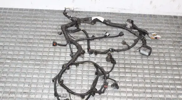 Mitsubishi Lancer Other wiring loom 4B10