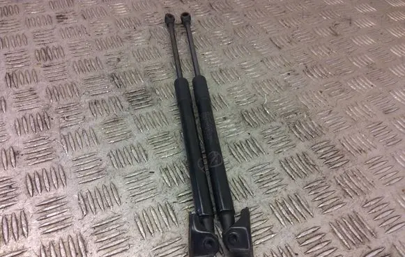 Toyota Auris E180 Tailgate/trunk strut/damper 68960-02170