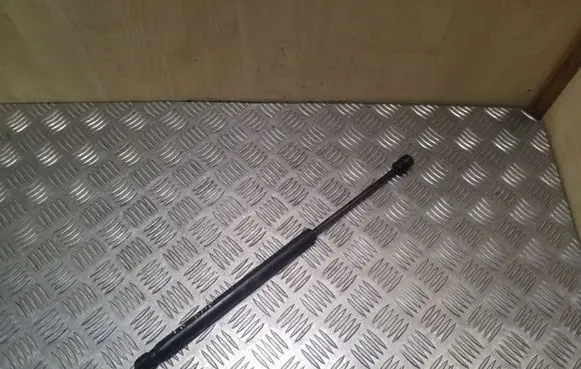 Chevrolet Captiva Front bonnet/hood damper/strut 95494361