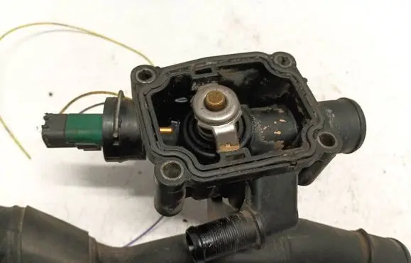 Citroen C2 Engine coolant pipe/hose