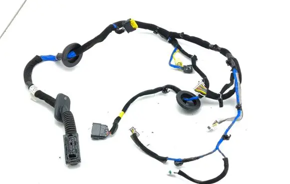 Hyundai Ioniq Front door wiring loom 91605 G2560