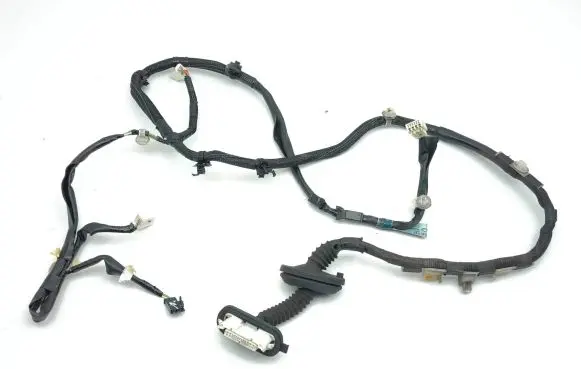 Lexus IS III XE30 Rear door wiring loom 8215353151B
