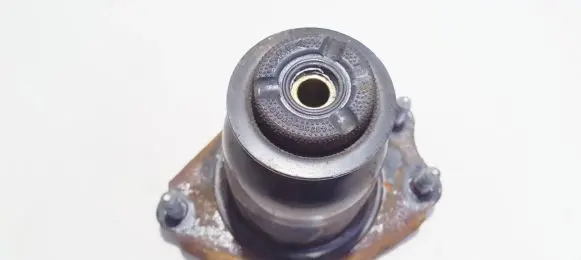 Coil spring mount