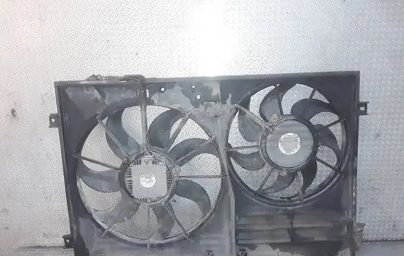 Volkswagen PASSAT B6 Electric radiator cooling fan 1355D300191