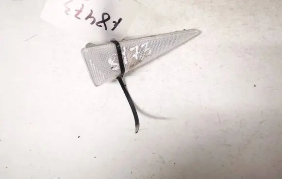 Front fender indicator light