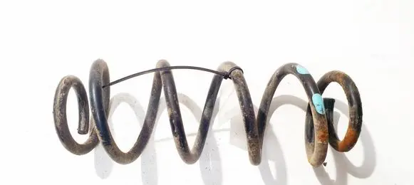 Rear coil spring