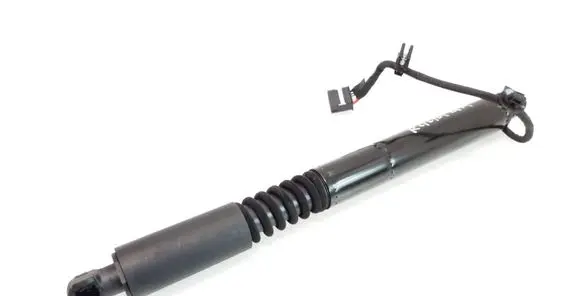Tesla Model X Rear door soft close latching motor 106344100C 514112 210819838G00102