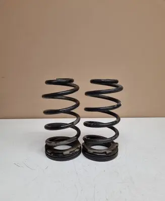 Hyundai Santa Fe Rear coil spring