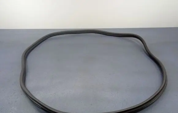 BMW 1 F40 Front door rubber seal 7452335