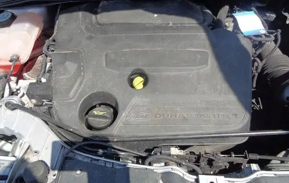 Ford Focus Engine 133TYS