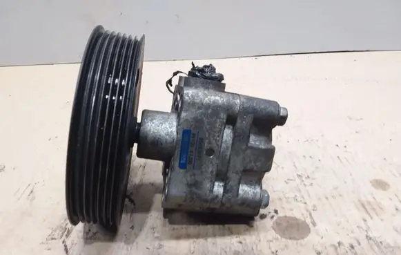 Suzuki Grand Vitara II Power steering pump 4910067J00 85093071
