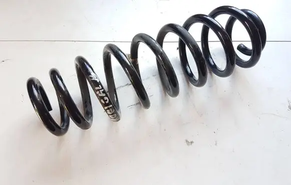 Rear coil spring