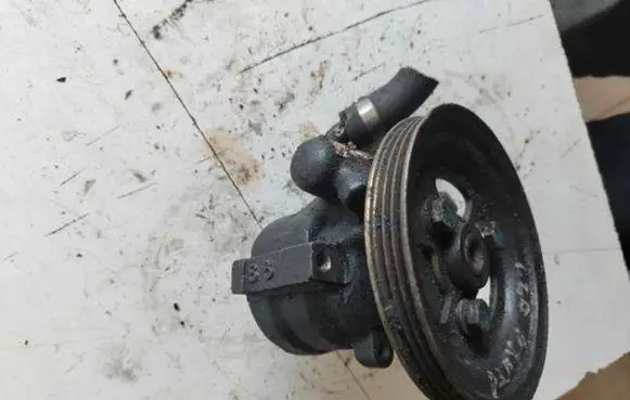 Fiat Punto (188) Power steering pump