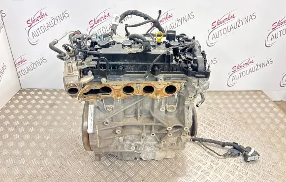 Ford Kuga III Engine BGDC LX6E6007BA E11115072203648