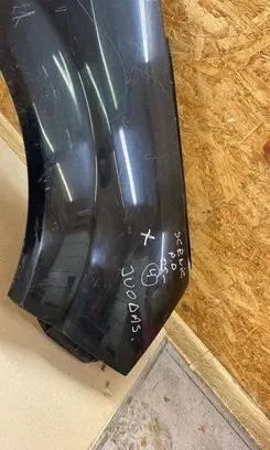 Renault Scenic II - Grand scenic II Fender