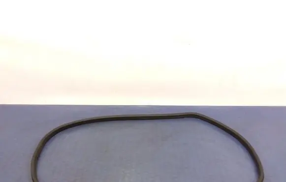 Renault Scenic IV - Grand scenic IV Front door rubber seal 