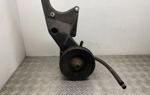 Chevrolet Astro Power steering pump 10069966