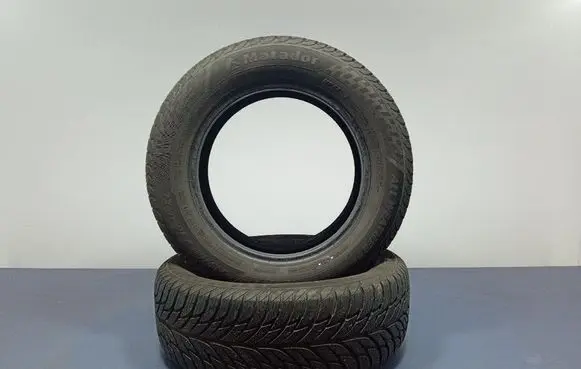 Ford Mondeo MK I R17 C winter tire 4050496002183