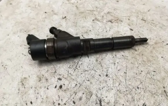Peugeot 406 Fuel injector 04451100769641742880