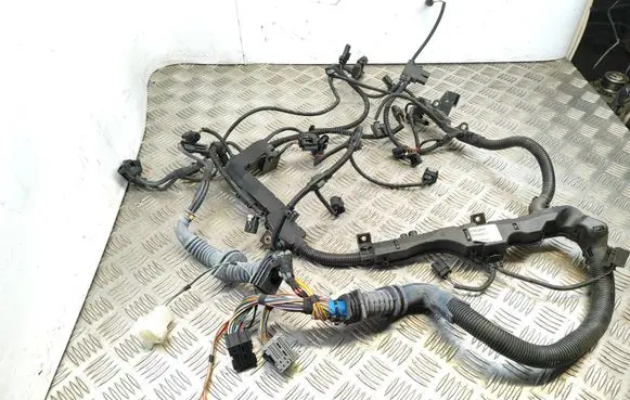 BMW X6 E71 Engine installation wiring loom 7809174 038050506C FA00379824