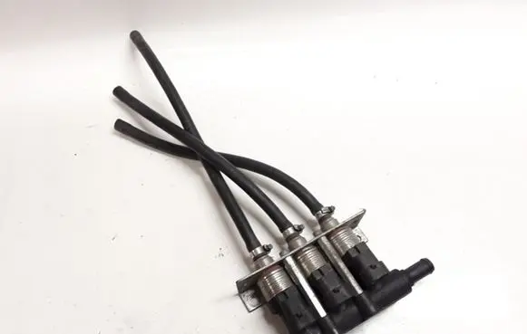 Volkswagen Phaeton Fuel injectors set 67R016409
