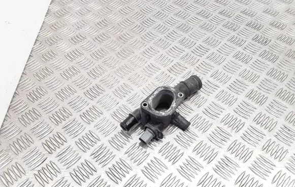 Thermostat/thermostat housing