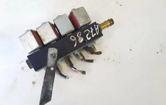 Renault Scenic II - Grand scenic II LP gas injector 