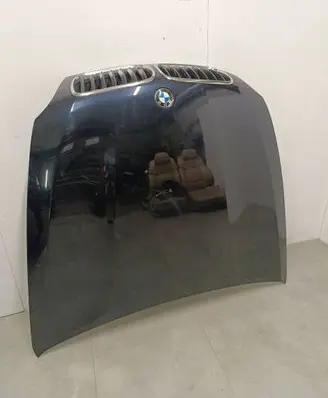 BMW X5 E70 Engine bonnet/hood 7171396 34216039B