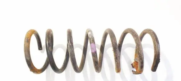 Rear coil spring