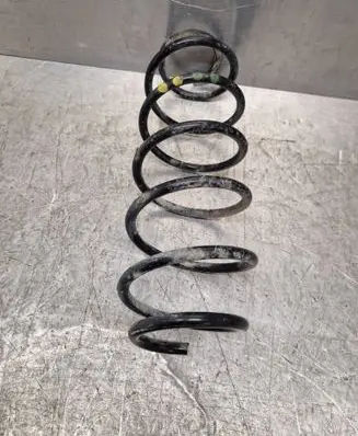 Rear coil spring
