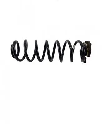 Rear coil spring