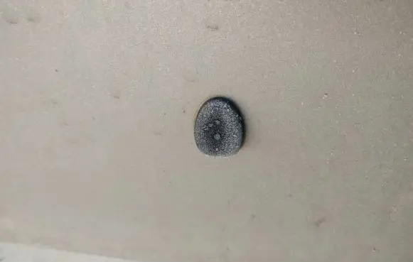 Windshield washer spray nozzle