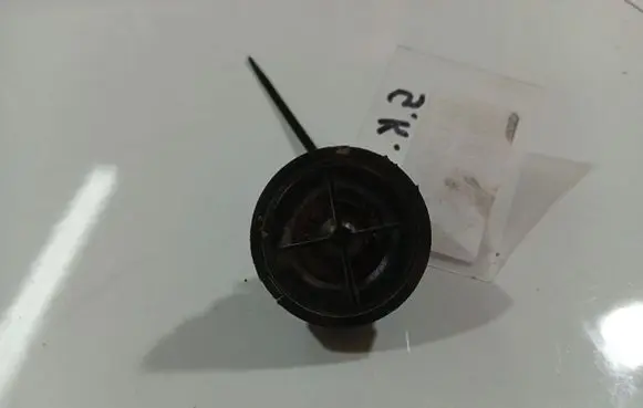 Front door speaker