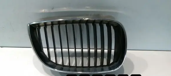 BMW 1 E81 E87 Front grill 22405910
