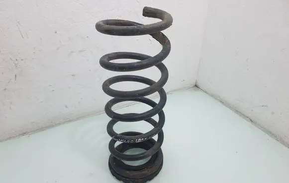 Rear coil spring